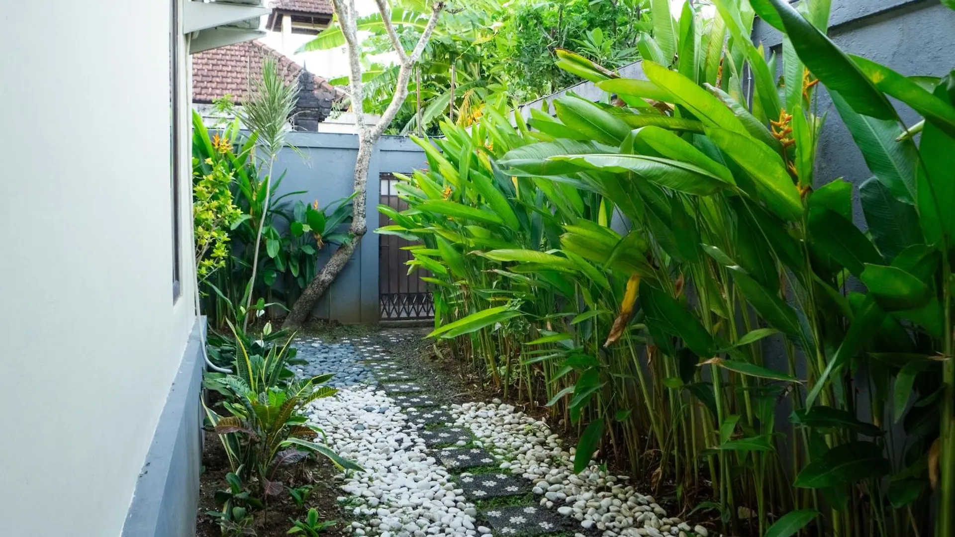 Villa Dafne Seminyak